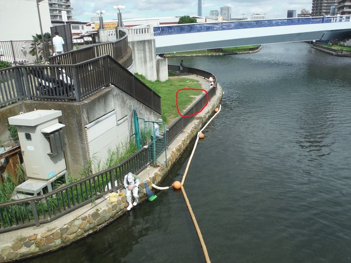 ハゼ釣り 2018-11 横十間川＋旧中川