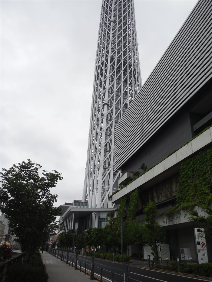 ハゼ釣り 2019-3 北十間川