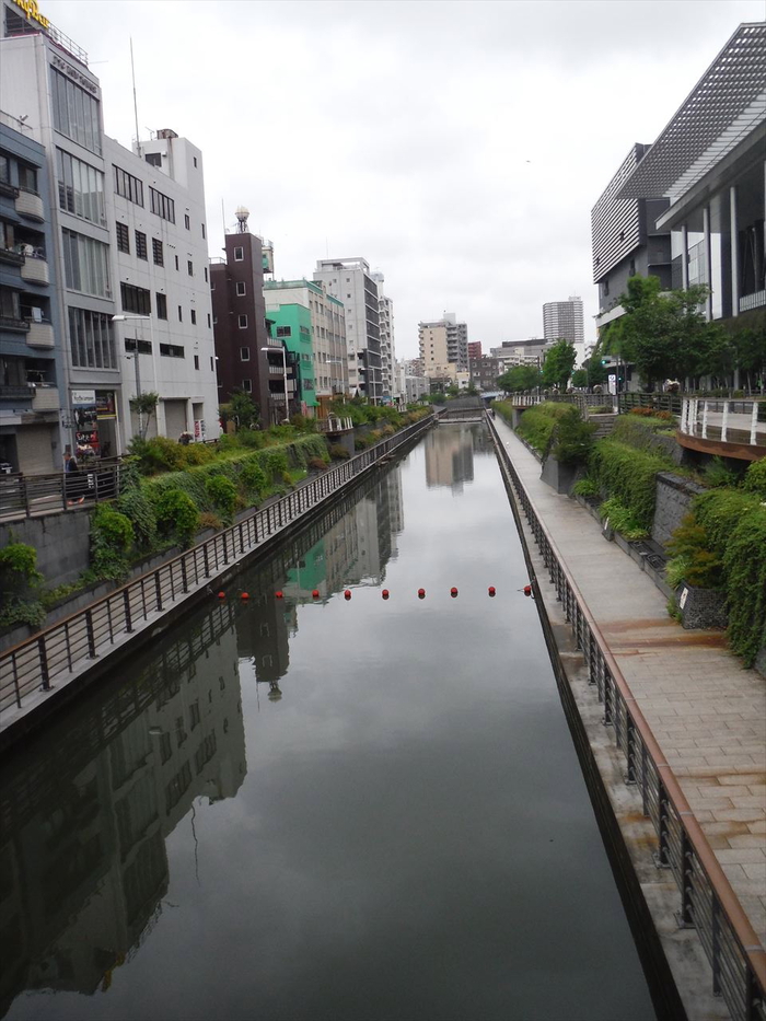 ハゼ釣り 2019-3 北十間川