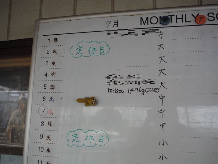ハゼ釣り 2019-7 江戸川マルヤ