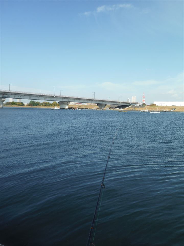 ハゼ釣り 2020-21 江戸川マルヤ