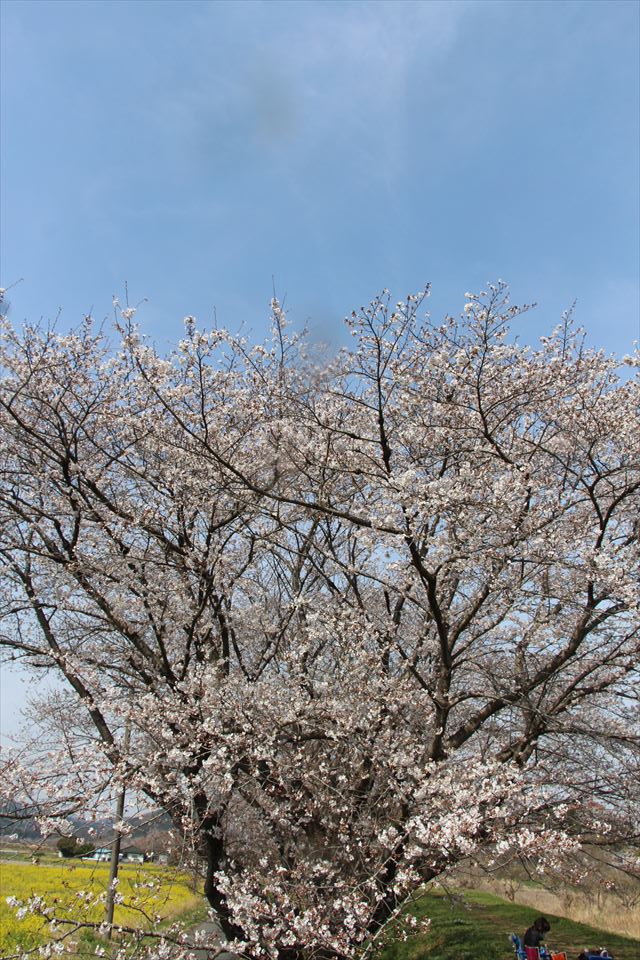 学校橋河原