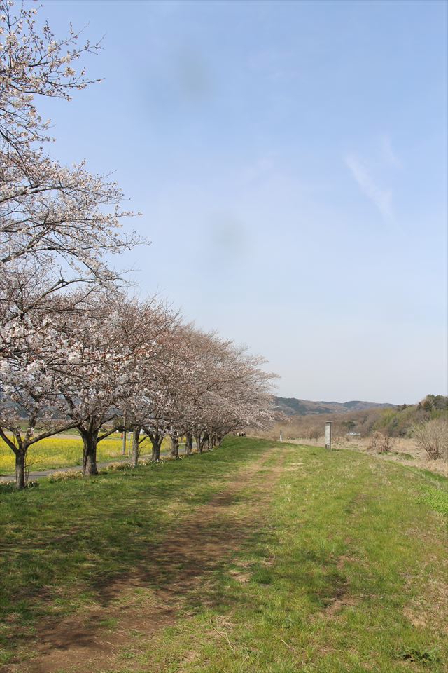 学校橋河原