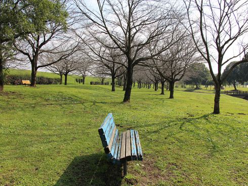 野田市スポーツ公園