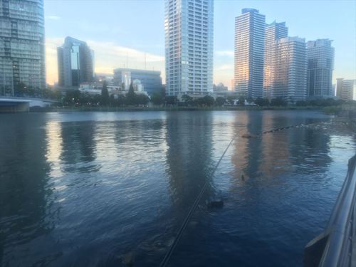 ハゼ釣り 2016-8 高島水際線公園