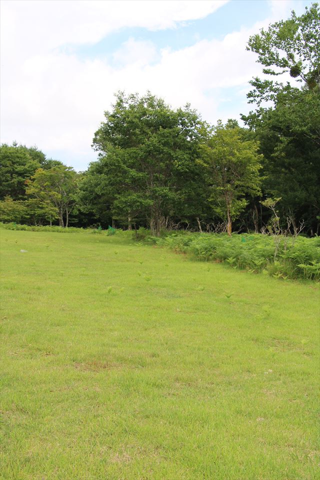 山の駅たかはら「Star Light Camp Base」