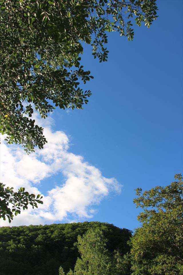 2024北海道T Vol9 つつじ公園キャンプ場