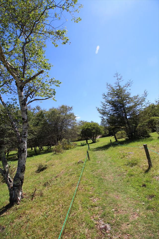 霧ヶ峰キャンプ場