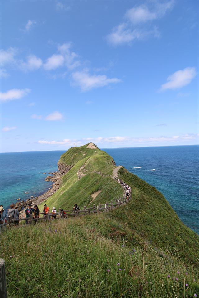 2024北海道T Vol15 新日本海フェリー:らべんだあ/自宅