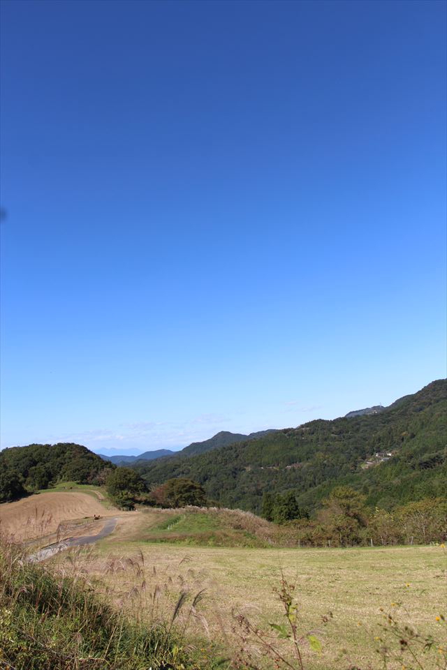 武甲キャンプ場