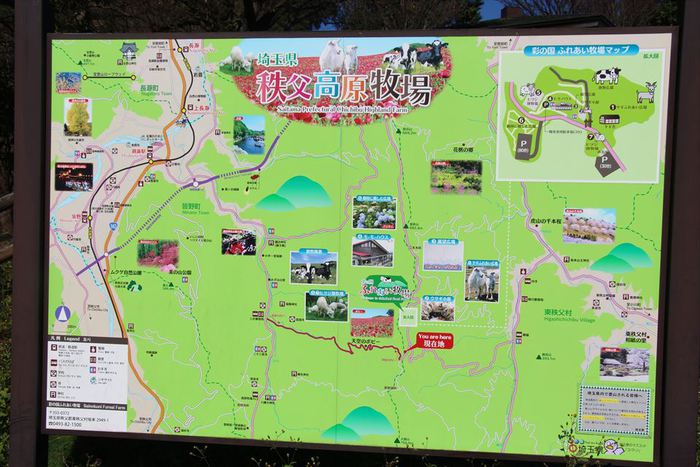 武甲キャンプ場