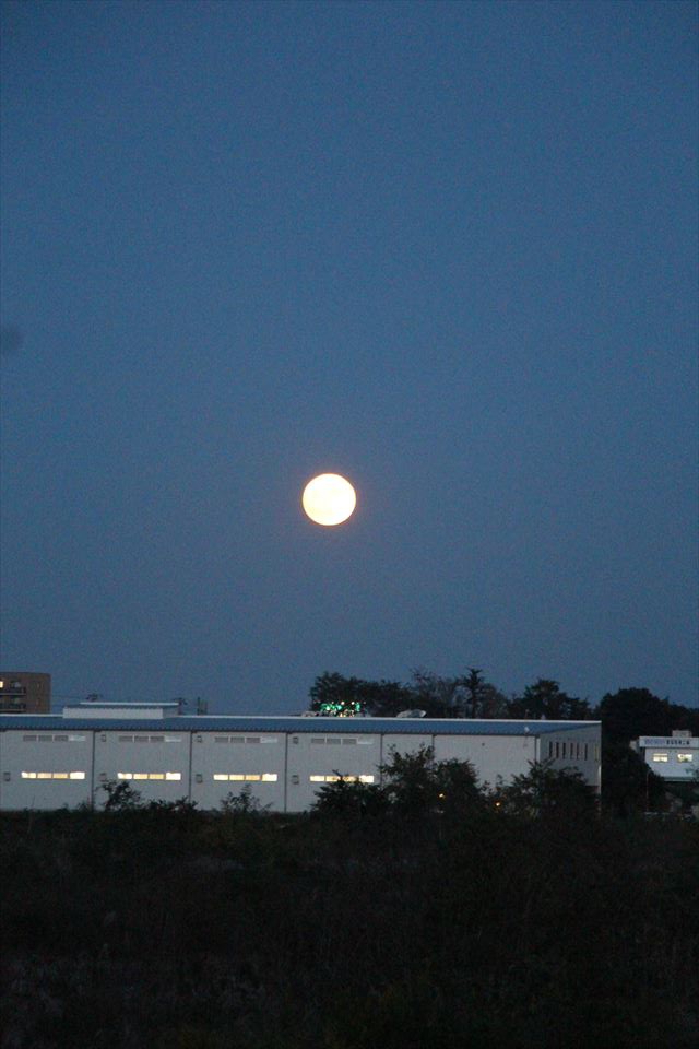 かわせみ河原