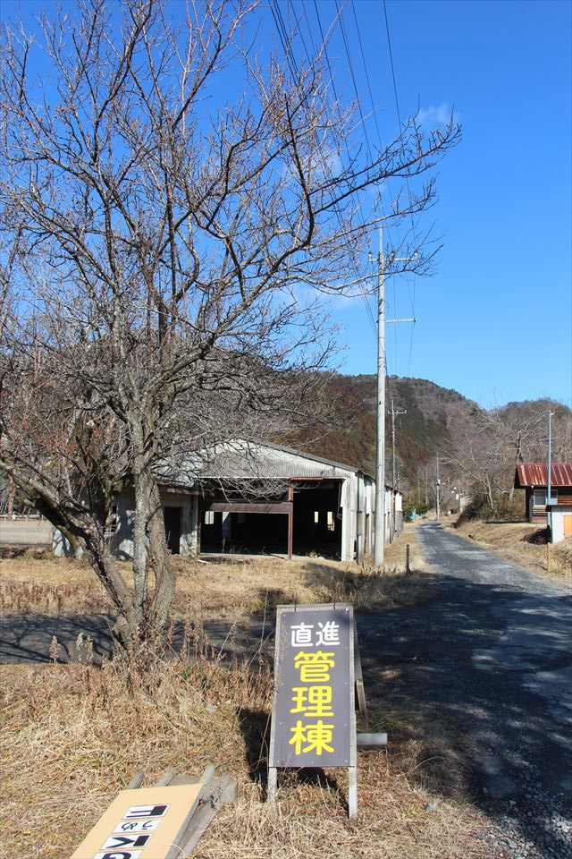 キャンプ村やなせ