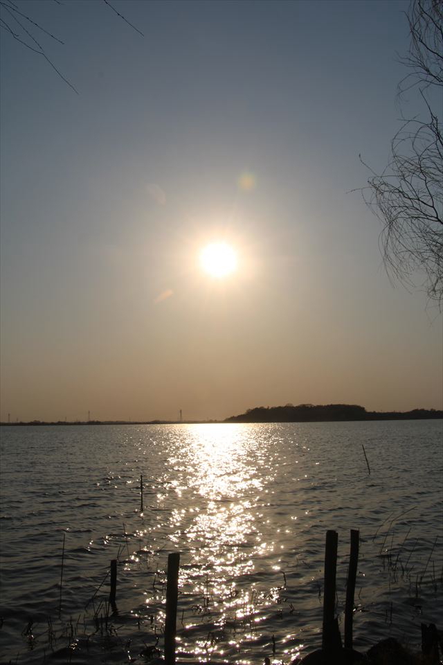 たくせん園地