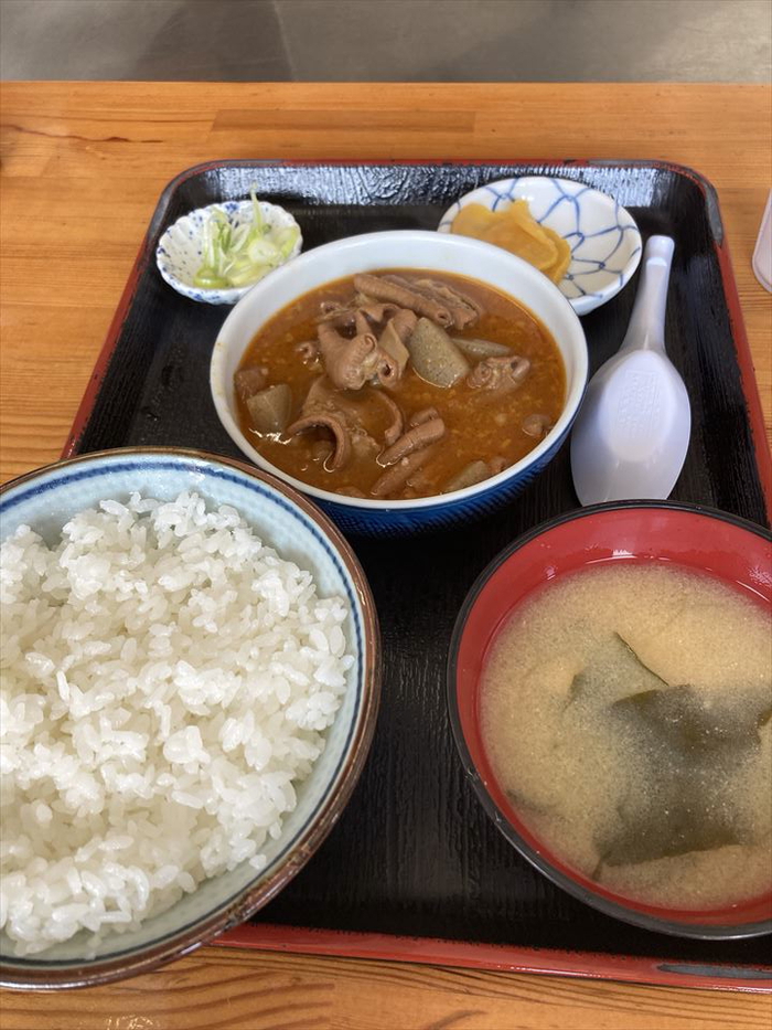 自然の森野営場(水源の森)