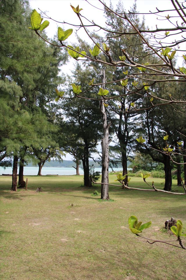 沖縄本島Vol2(なきじんゲストハウス結家)