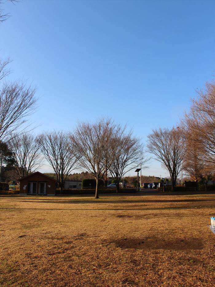 坂田ヶ池総合公園キャンプ場