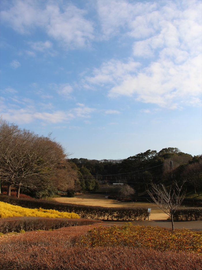 坂田ヶ池総合公園キャンプ場