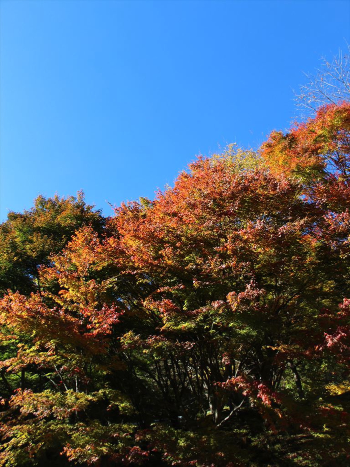 長野紅葉ツーリング（蛇石キャンプ場)