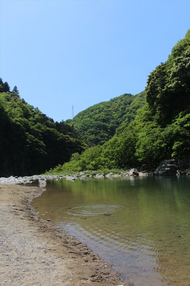 中部・北陸T Vol7(勝原園地)