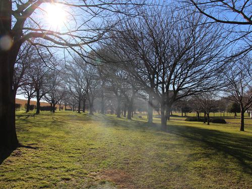 野田市スポーツ公園