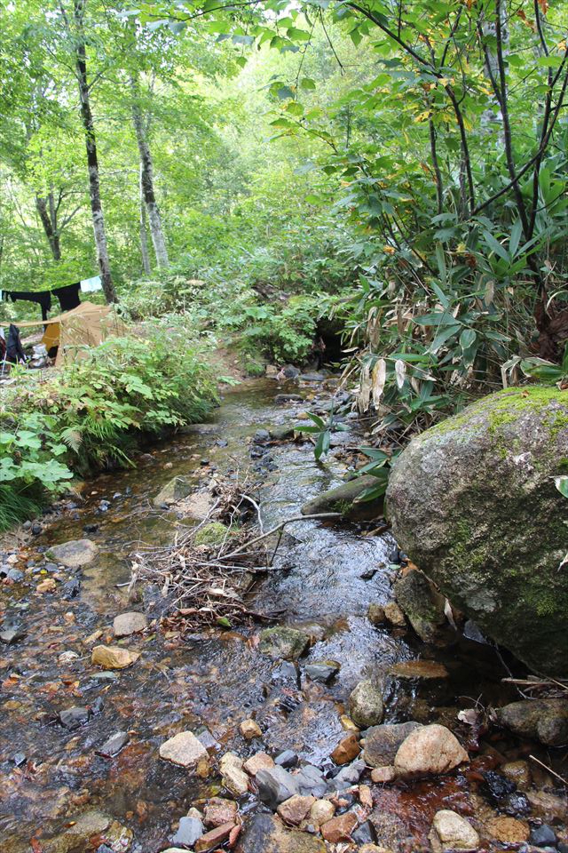 自然の森野営場(水源の森)