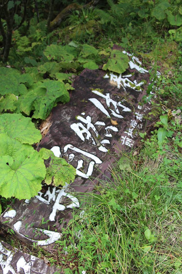 自然の森野営場(水源の森)