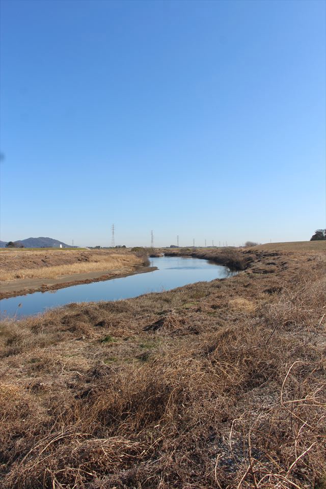 渡良瀬川河川敷青少年ひろばキャンプ場