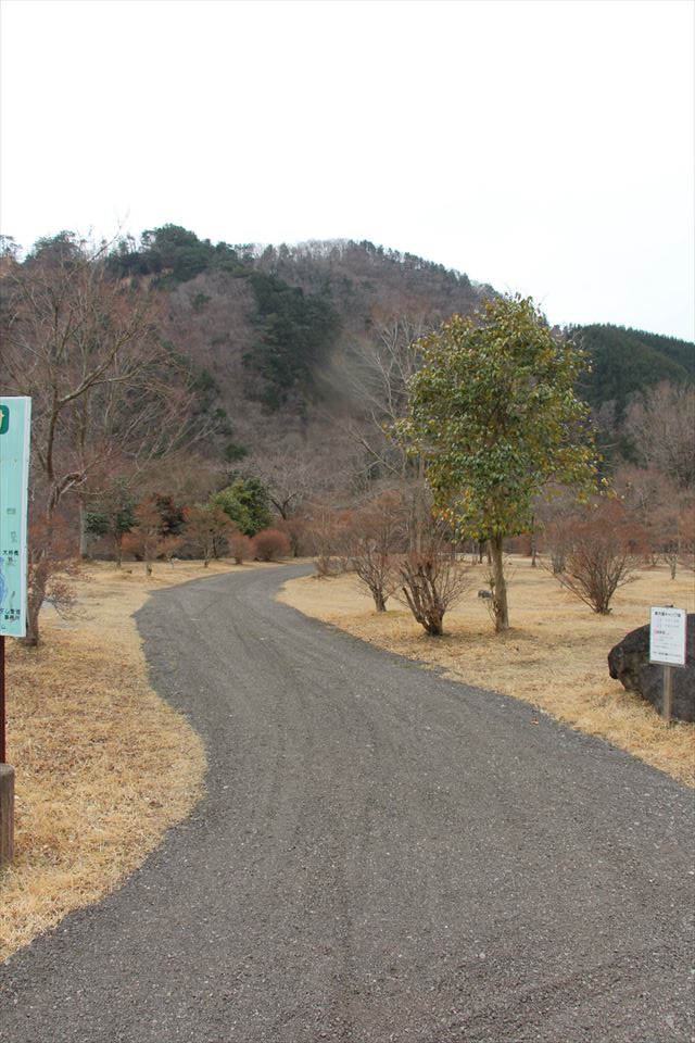 東古屋湖キャンプ場