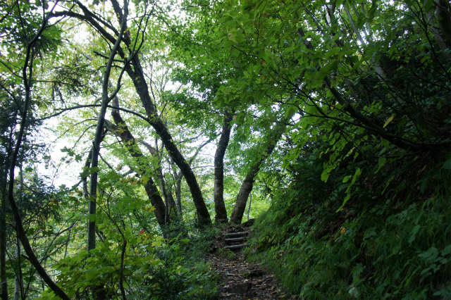 女子登山部と行く、里山トレック(*´д`*) ～白鷹山 994m