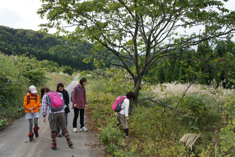 女子登山部と行く、里山トレック(*´д`*) ～白鷹山 994m