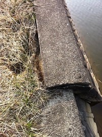 野池釣行。 2011/04/03 09:59:02