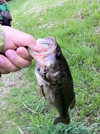 最近の俺。 2011/05/02 09:51:44