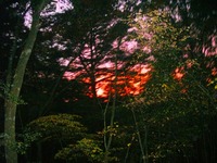 西山燃ゆ～ルート調査・3 2009/11/02 11:12:58