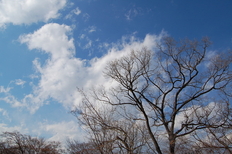 空（高尾山山頂にて）