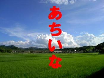 新しい食べ物？？