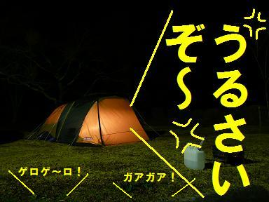 キャンプ最高！（志高湖キャン・昼夜編）