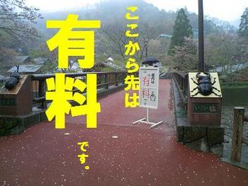 キャンプ場視察（直川憩の森キャンプ場編）