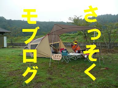 今頃ですが～