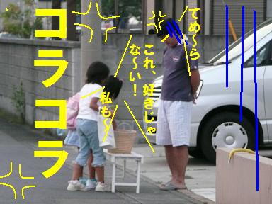中秋の････名物？
