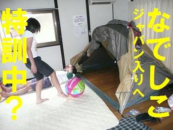 祝！金メダル（本文と関係ありません）