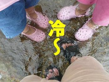 初夏のデイキャン（後編）