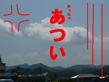 アメの生る木？（噂のスイーツ）
