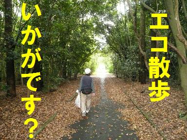 エコ散歩推奨！