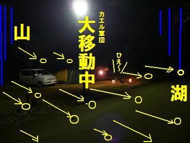 今更ですが・・・今年前半総括