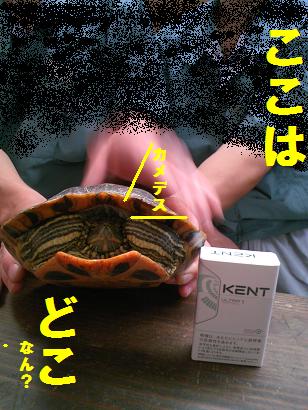 悲しい時～