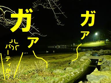 キャンプ最高！（志高湖キャン・昼夜編）