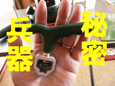 行くぜ!雪中キャン！？