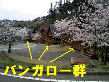 キャンプ場視察（梅園の里編）