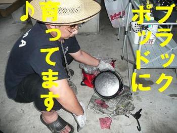 梅雨キャン・・・④